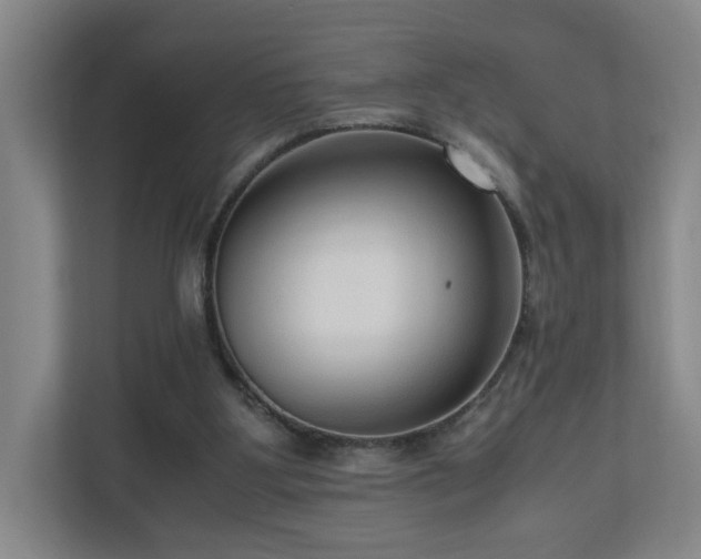 X0000110950107200906191258