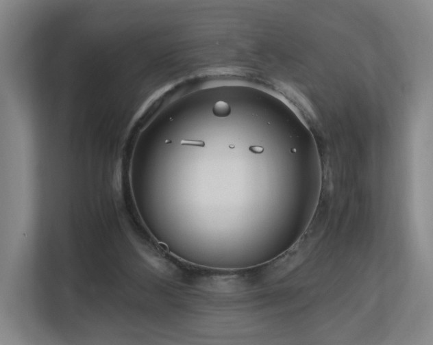 X0000110950108200906191258