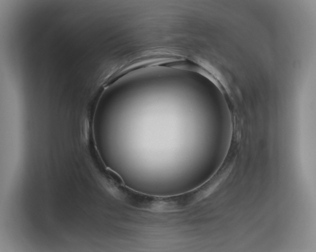 X0000110950109200906191258