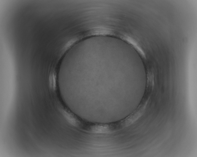 X0000110950110200906191258