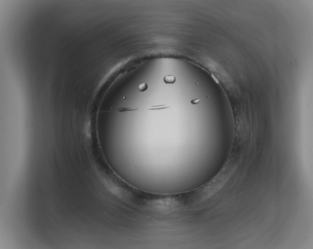 X0000110950112200906191258
