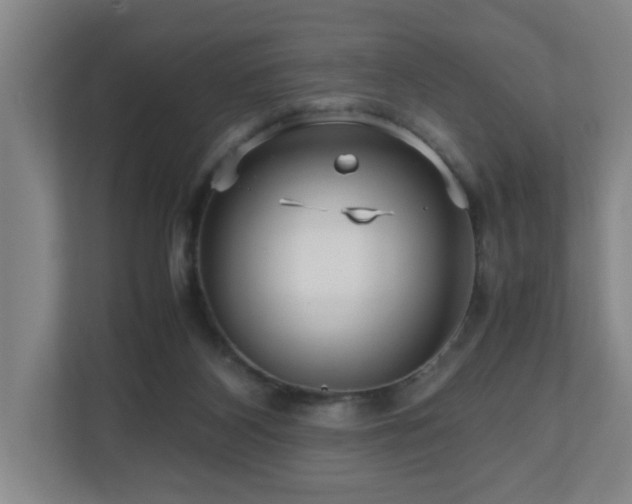 X0000110950116200906191258