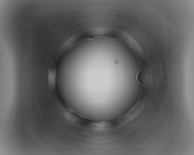 X0000110950118200906191258