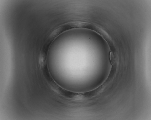 X0000110950119200906191258