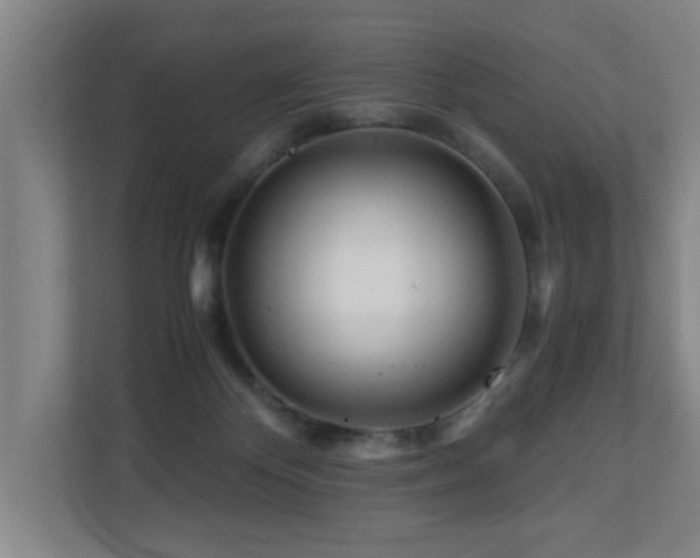 X0000110950124200906191258