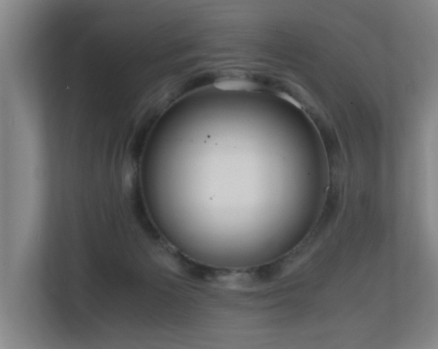 X0000110950125200906191258