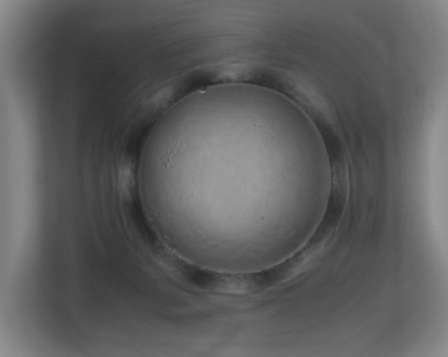 X0000110950127200906191258