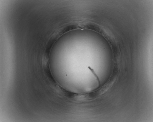 X0000110950129200906191258
