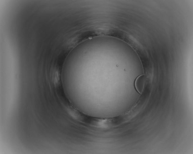 X0000110950130200906191258