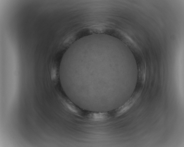 X0000110950134200906191258