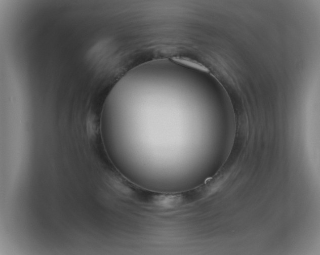 X0000110950135200906191258