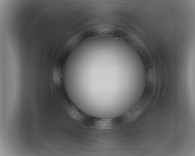 X0000110950138200906191258