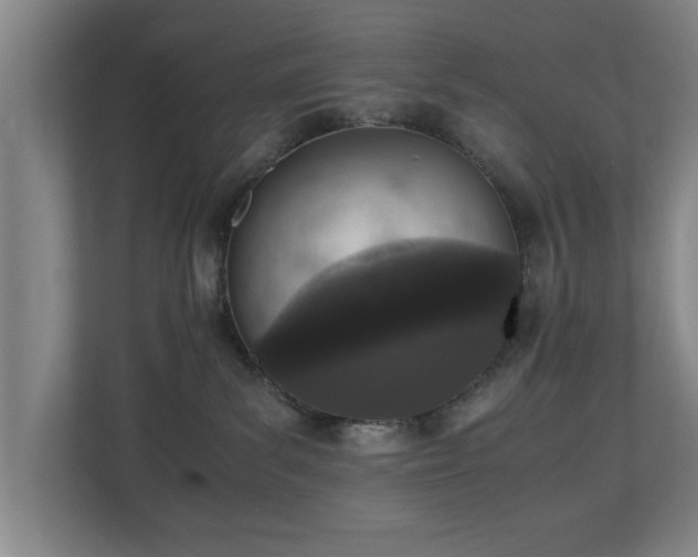 X0000110950139200906191258
