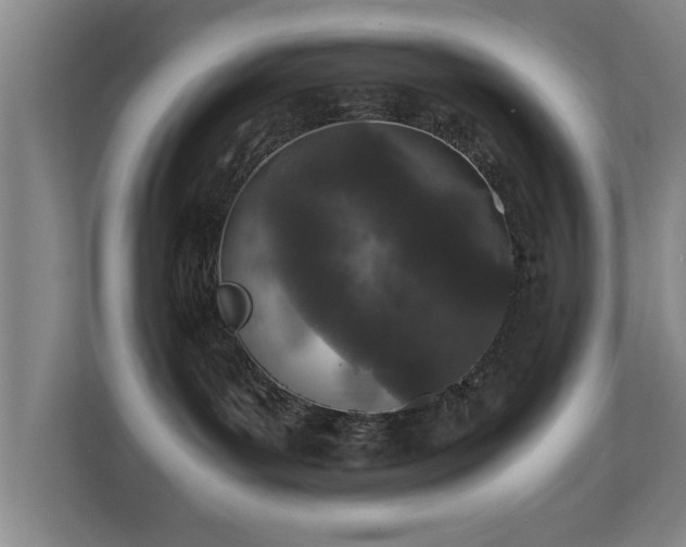 X0000110950143200906191258