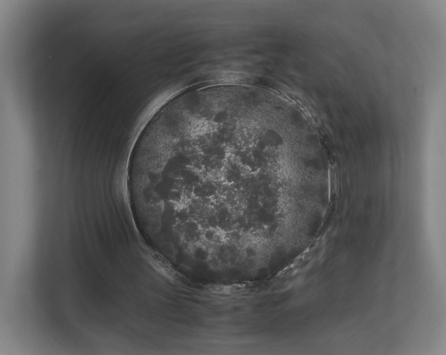 X0000110950147200906191257