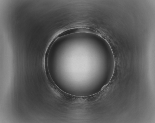 X0000110950148200906191257