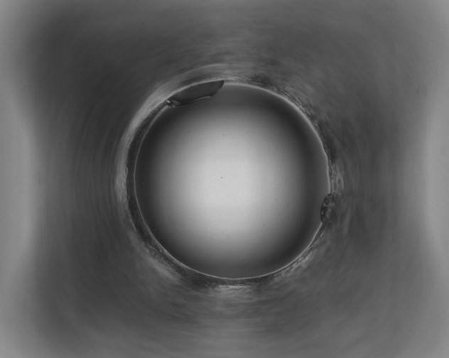 X0000110950150200906191257
