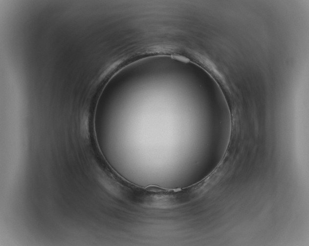 X0000110950154200906191257