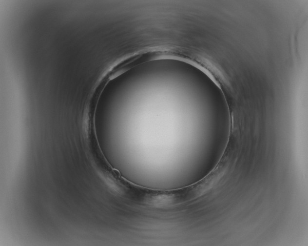 X0000110950156200906191257