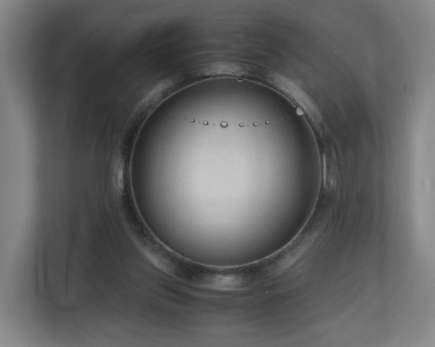 X0000110950157200906191257