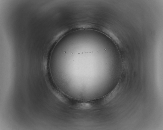 X0000110950159200906191257