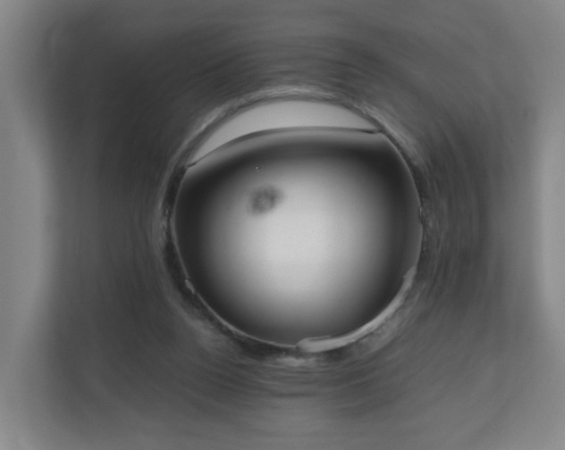 X0000110950160200906191257