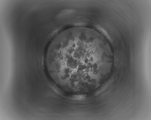 X0000110950161200906191257