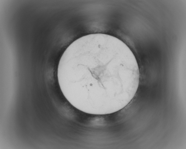 X0000110950162200906191257