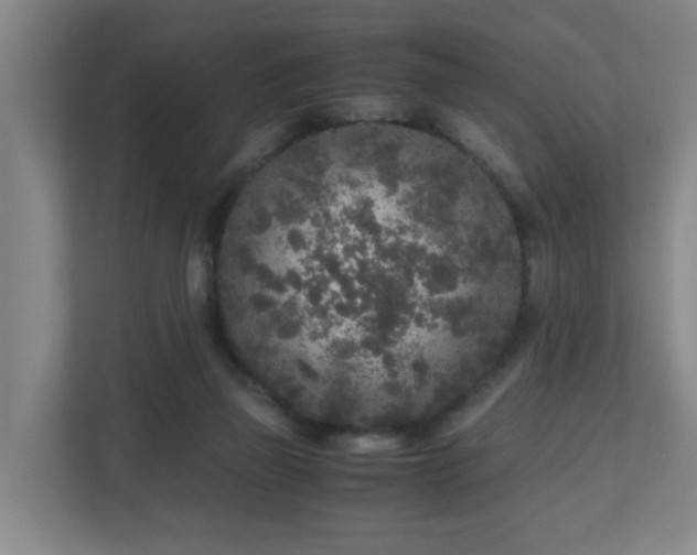 X0000110950165200906191258