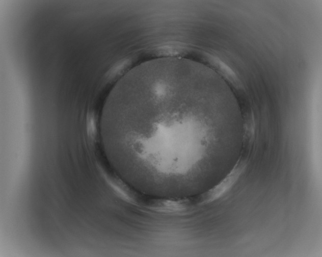 X0000110950166200906191258