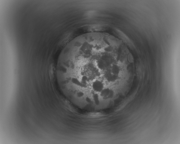 X0000110950169200906191258