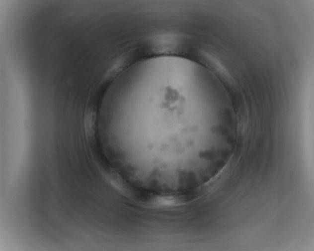X0000110950171200906191258