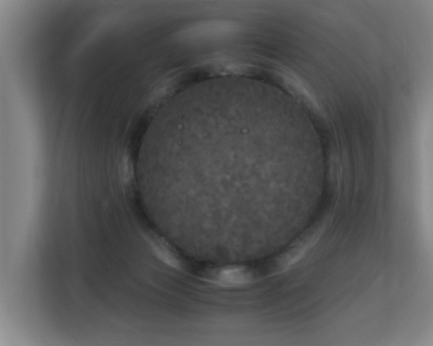 X0000110950173200906191258