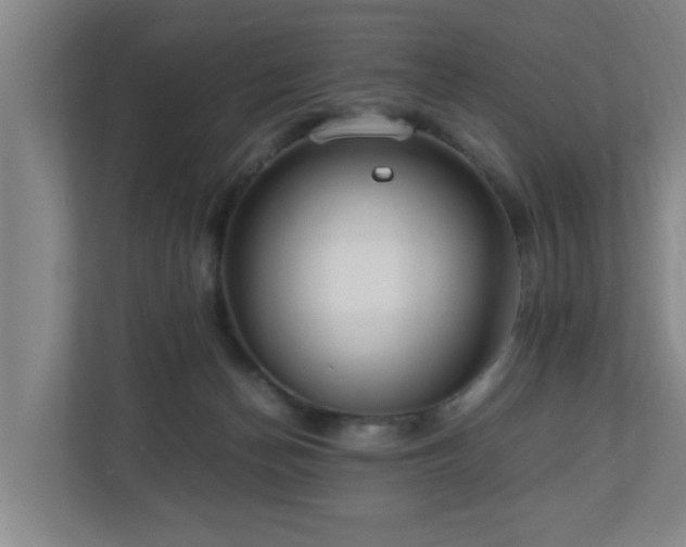 X0000110950174200906191258