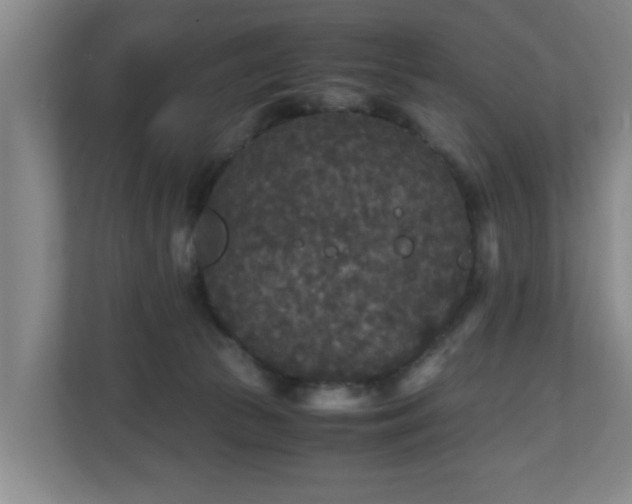 X0000110950177200906191258