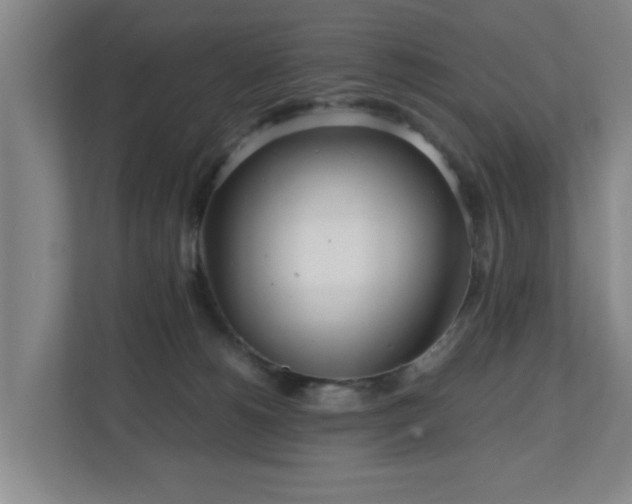 X0000110950180200906191258