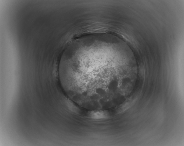 X0000110950181200906191258