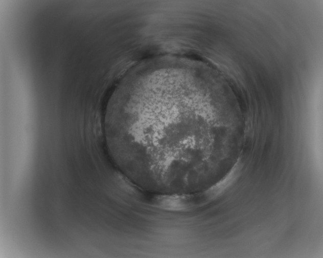 X0000110950182200906191258