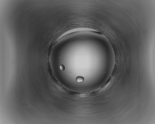 X0000110950184200906191258