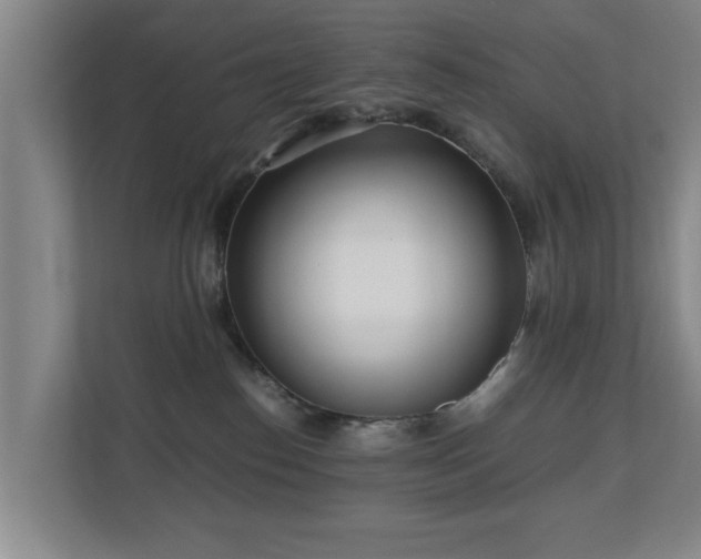X0000110950186200906191258