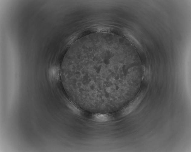 X0000110950189200906191258