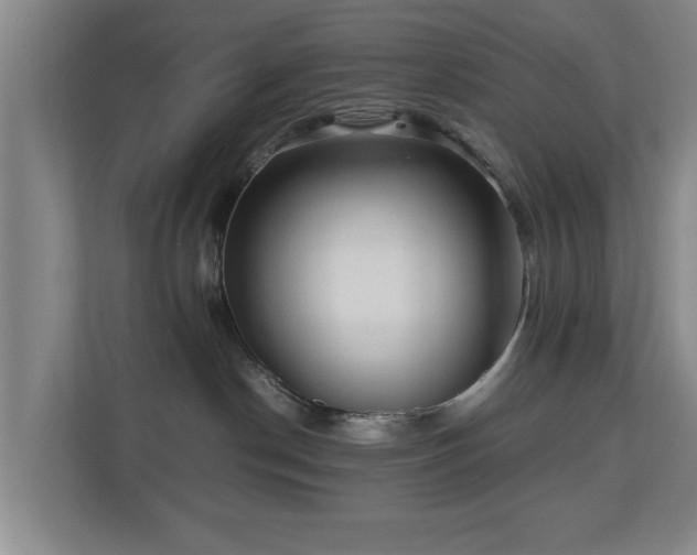 X0000110950190200906191258
