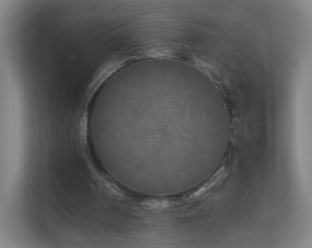 X0000110950194200906191257