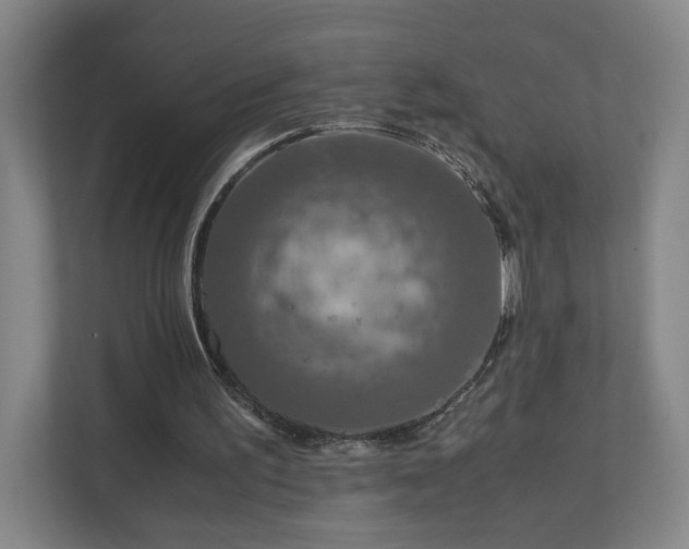 X0000110950195200906191257