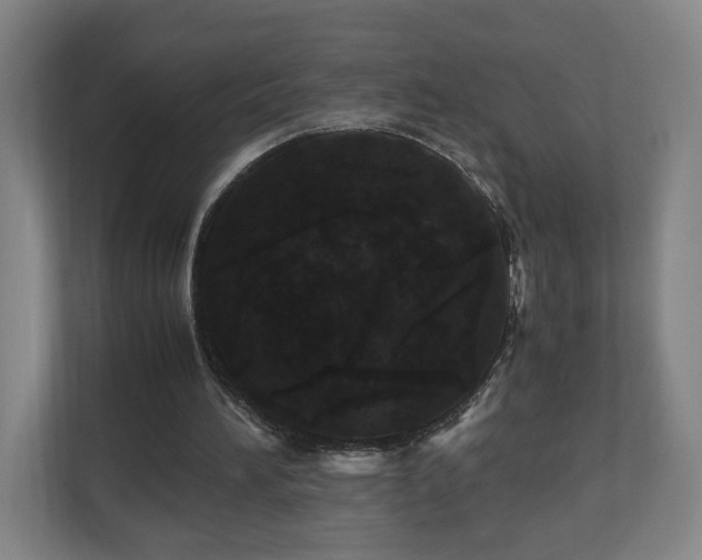 X0000110950196200906191257