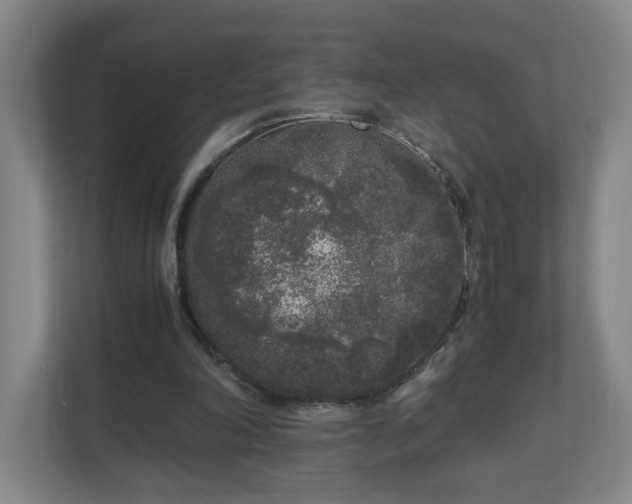 X0000110950198200906191257