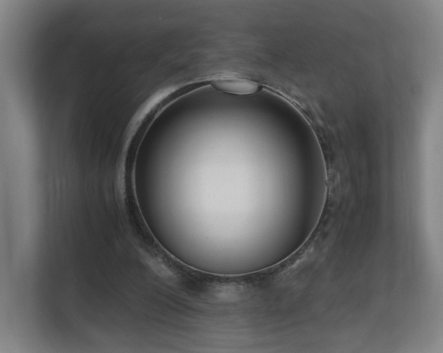 X0000110950200200906191257