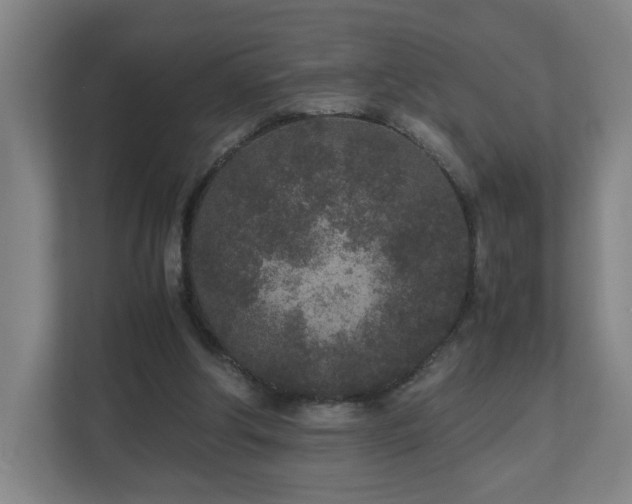X0000110950202200906191257