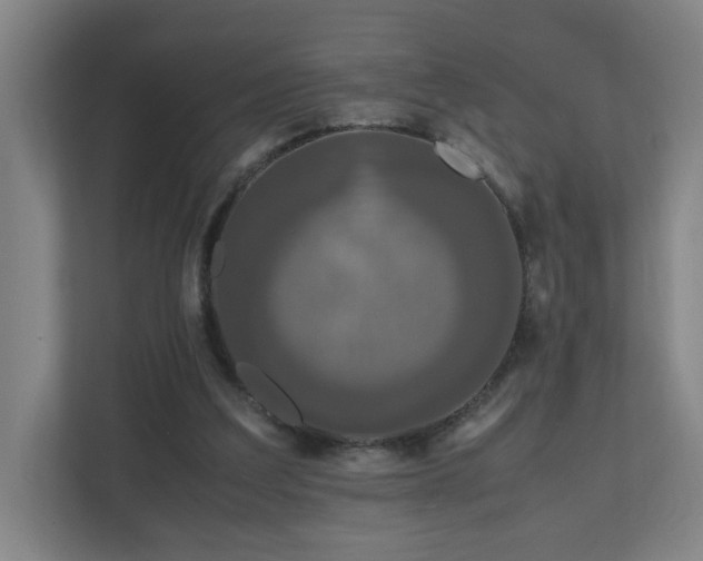 X0000110950203200906191257
