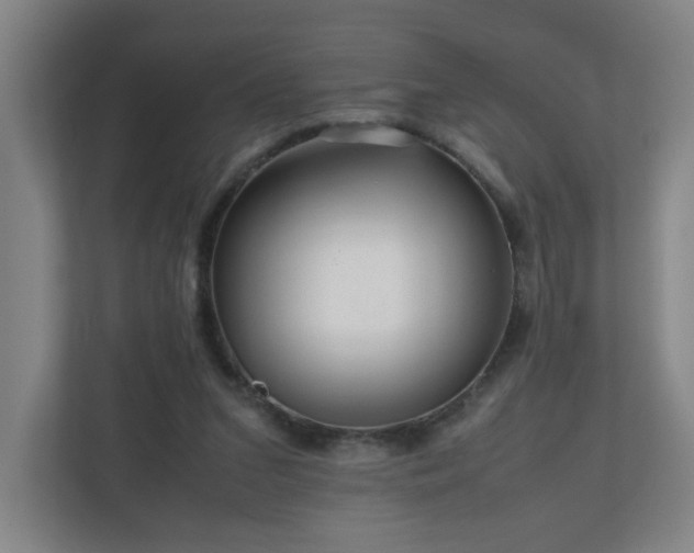 X0000110950207200906191257